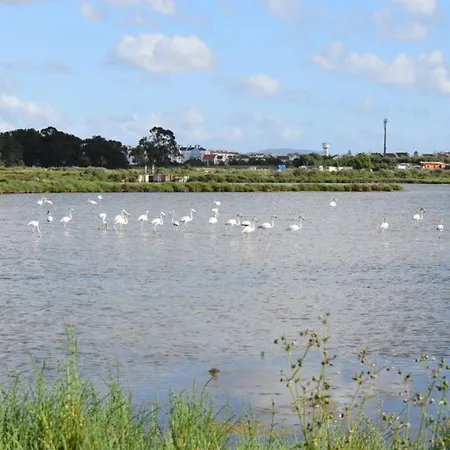 Appartamento Coracao Da Alcochete