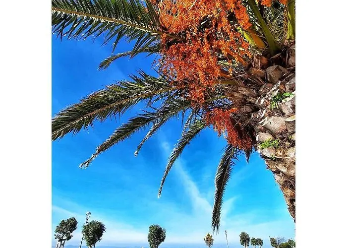 Coracao Da * Alcochete