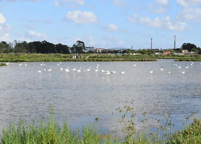 Apartment Coracao Da Alcochete